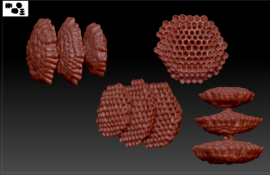 3D-Wespennest im LernAtelier&reg;